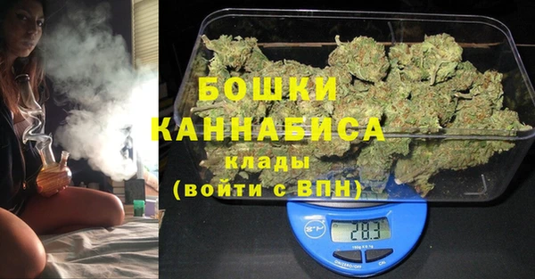 шишки Алзамай