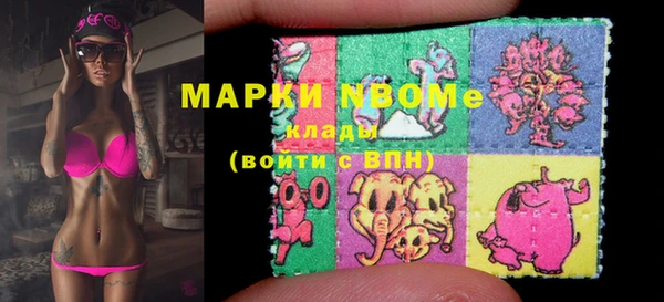шишки Алзамай