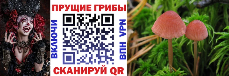 Галлюциногенные грибы MAGIC MUSHROOMS Пикалёво